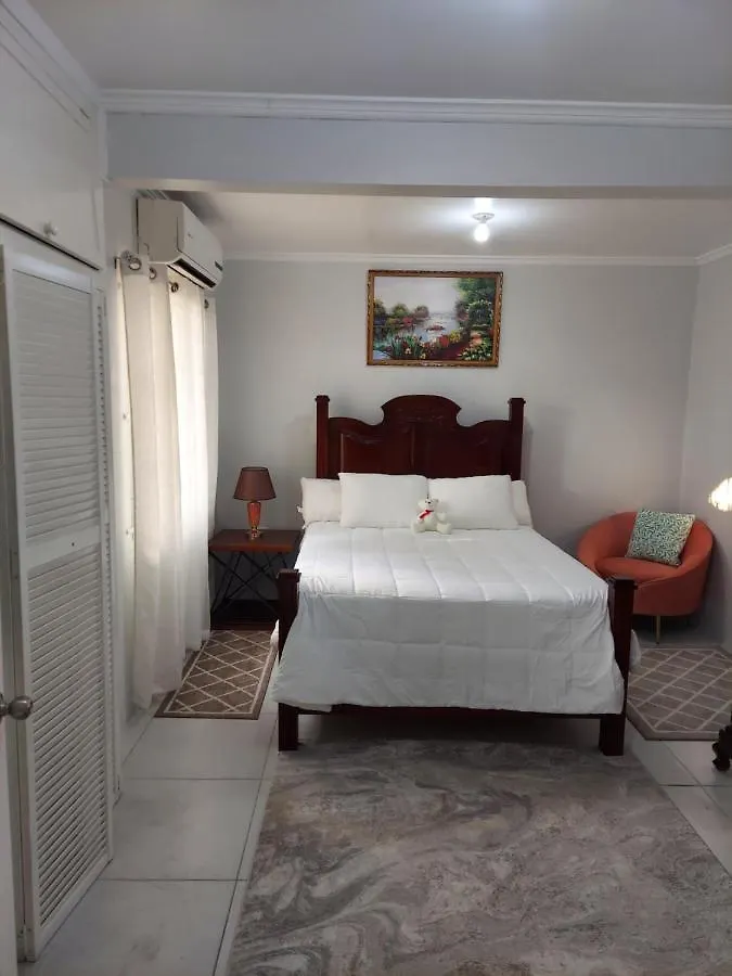 The Evaluxx Apartment Kingston
